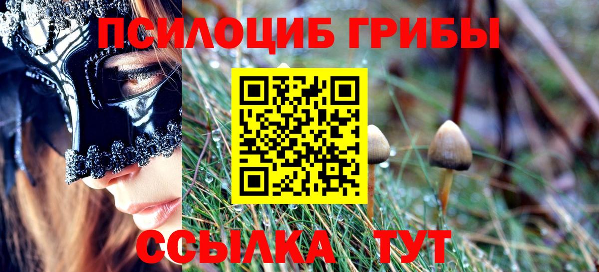 Галлюциногенные грибы MAGIC MUSHROOMS  Вход с VPN  Чайковский  Псилоцибиновые грибы GOLDEN TEACHER 