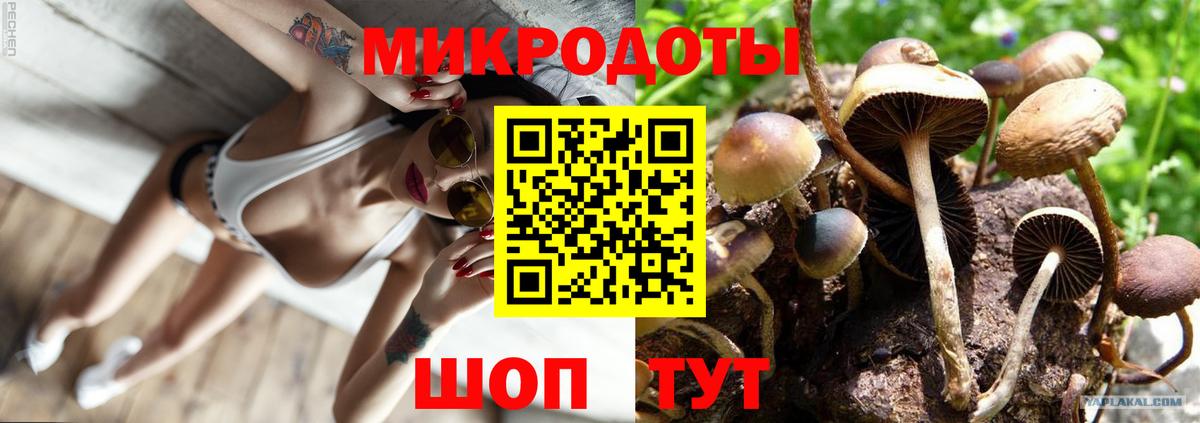 Галлюциногенные грибы Psilocybine cubensis Чайковский