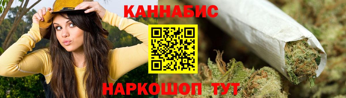 Канабис сатива Чайковский